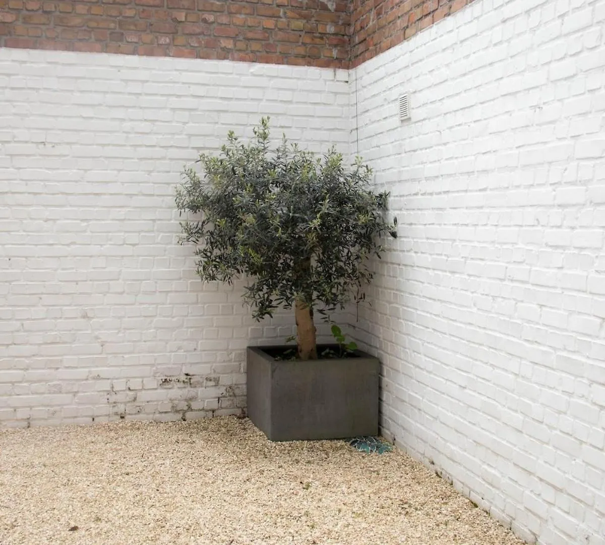 House In Ostend At 5 Min Walk From The Sea Belgium